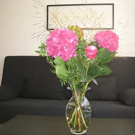 Apartment Grosszugige Ferienwohnung In Dahlem *